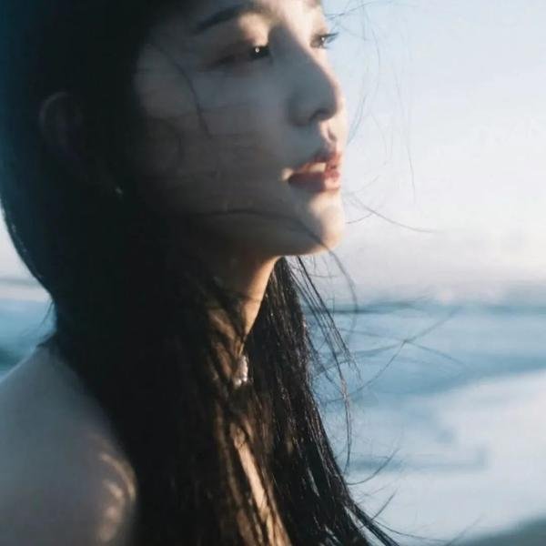 豹 海报